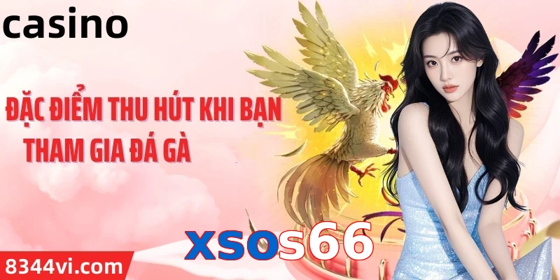 xsos66